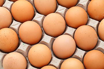 Image showing Heap of farm egg