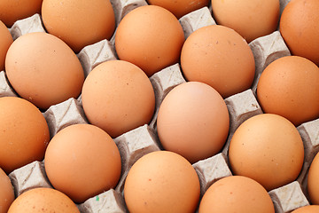 Image showing Heap of farm egg