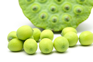 Image showing Fresh lotus seeds and pod