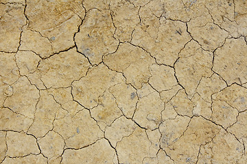 Image showing Dried crack land