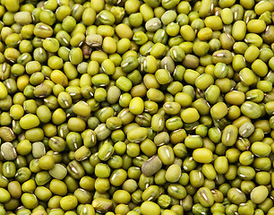 Image showing Mung green bean