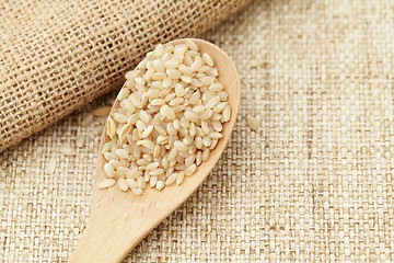 Image showing Uncooked rice on spoon