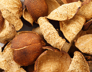 Image showing Dried tangerine peel