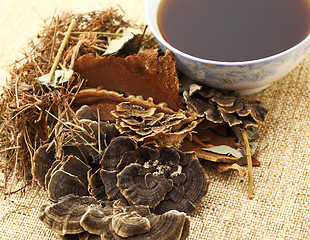 Image showing Chinese herbal medicine