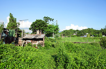 Image showing Wooden house in countryside