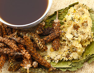 Image showing Chinese herbal medicine with ingredient