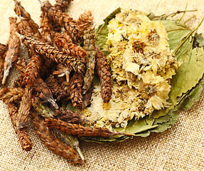 Image showing Dried herbal medicine