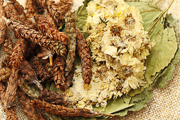 Image showing Chinese medicine herbal tea ingredients 