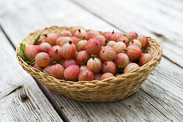 Image showing Gooseberry