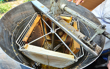 Image showing honey extraction machinery