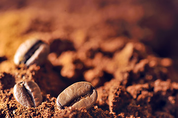 Image showing Macro coffee beans and ground coffee