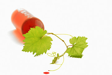 Image showing bottle of wine