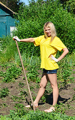 Image showing gardening