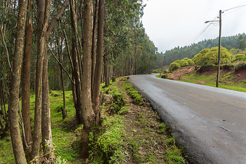 Image showing Mount Entoto Road