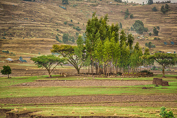 Image showing Life in the countryside