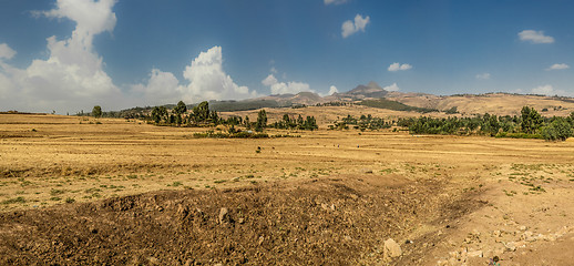 Image showing Suba Landscape
