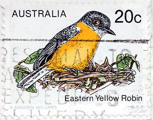 Image showing Yellow Robin Stamp