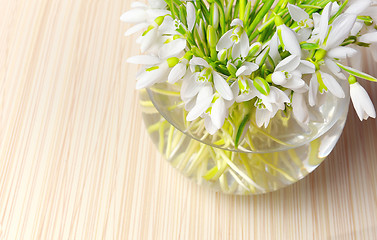 Image showing Snowdrops in a vase