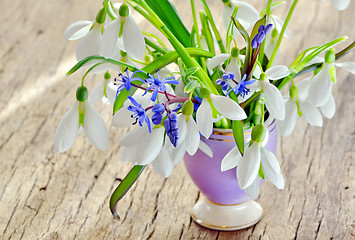 Image showing Beautiful bouquet snowdrops in a vase on woody background