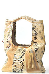 Image showing lady handbag 
