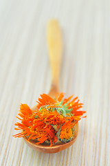 Image showing marigold herbal tea