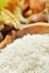 Image showing harvesting rice 