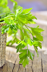 Image showing parsley in braided basket isolated