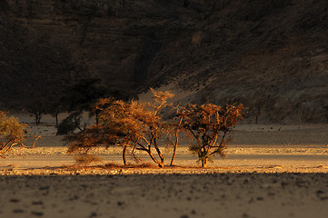 Image showing Jebel Uwaynat