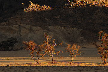 Image showing Jebel Uwaynat