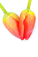 Image showing tulips heart