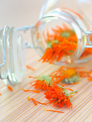Image showing marigold herbal tea