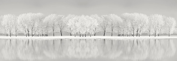 Image showing Danube river in winter time