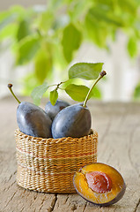 Image showing basket with plums