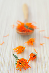 Image showing marigold herbal tea 