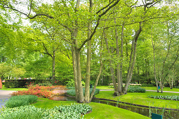 Image showing Botanical Garden