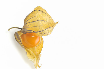 Image showing phisalis small yellow fruit