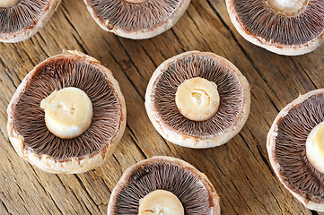 Image showing brown mushrooms