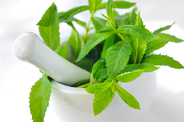 Image showing Mortar and mint leaves