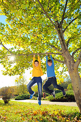 Image showing boys hanging from branch of tree