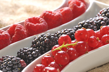 Image showing fresh berries