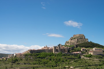 Image showing Morella