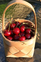 Image showing Cherries in basket