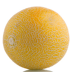 Image showing Yellow melon 