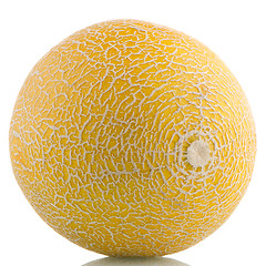 Image showing Yellow melon 