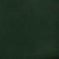 Image showing Green leather texture closeup