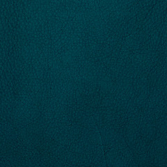 Image showing Blue leather 