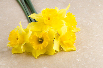 Image showing Jonquil flowers