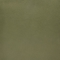 Image showing Green leather texture closeup