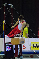 Image showing Max Whitlock (GBR)