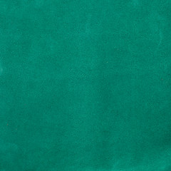 Image showing Green leather